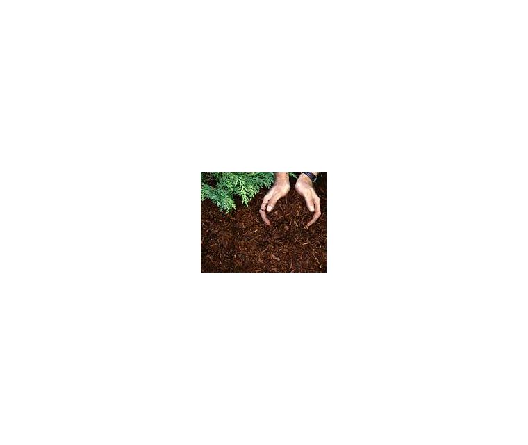 Broyage de végétaux & distribution de compost